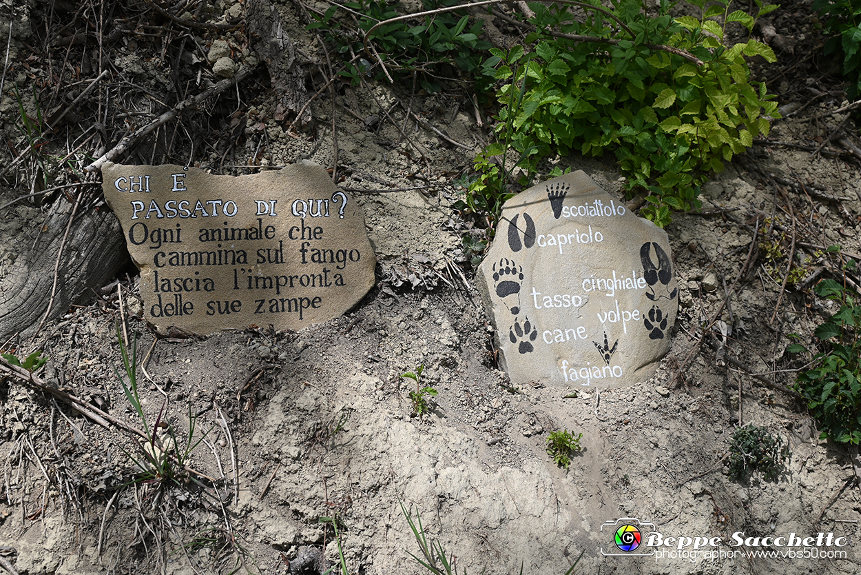VBS_3135 - Mango (Cuneo) - Gnomovia.jpg